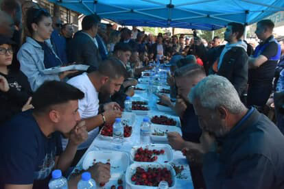 Alaşehir kiraz festivali