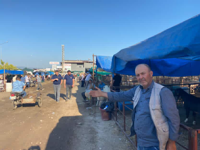 Alaşehir hayvan pazarı