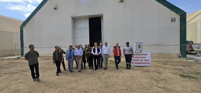 TMO kuru üzüm alımı