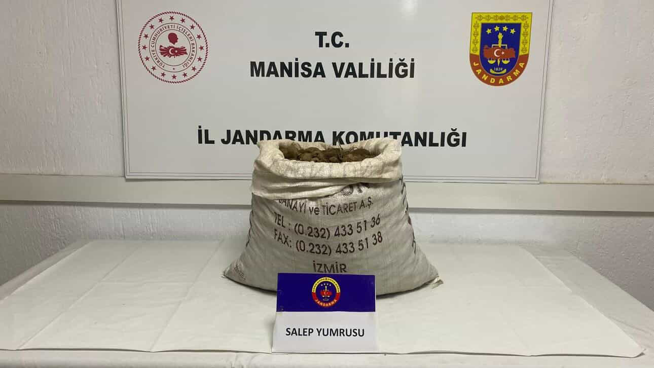 Koruma altındaki bitki koparma ceza 