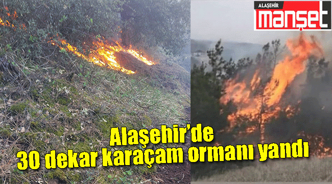Alaşehir'de Orman Yangını