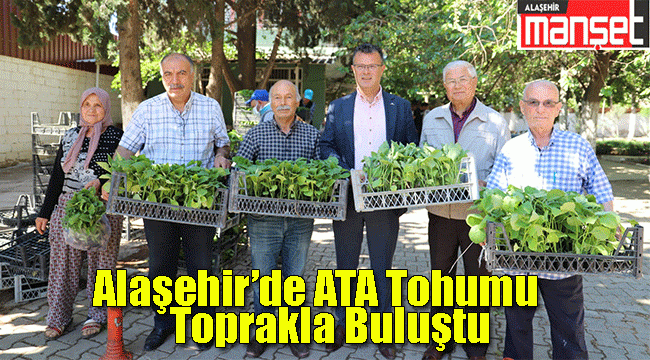 Alaşehir'de vatandaşlara 210 bin adet sebze fidesi dağıtıldı