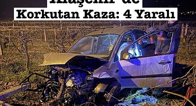 Alaşehir’de otomobil üzüm bağına uçtu 