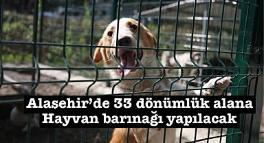 Evrenli Mahallesi’nde 33 Dönümlük Alan Hayvan Barınağına Dönüşüyor