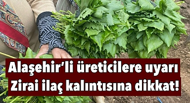 Alaşehir’de Asma Yaprağı Uyarısı: Zirai İlaç Kalıntısına Dikkat!