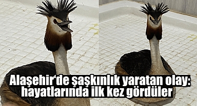 Alaşehir'de şaşkınlık yaratan olay: hayatlarında ilk kez gördüler