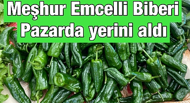 Meşhur Emcelli Biberi Alaşehir Pazarında yerini aldı 