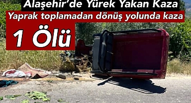 Yaprak toplamadan dönüş yolunda kaza: 1 Ölü, 1 Yaralı 
