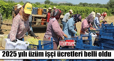 Alaşehir'de üzüm işçi ücretleri belli oldu: Hangi işçi günlük kaç TL kazanacak?