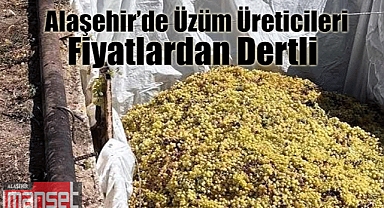 Alaşehir'de Üzüm Üreticileri Fiyatlardan Dertli