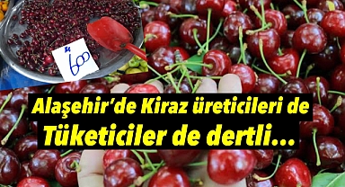 Kiraz’da Üreticide, Tüketicide Zor Durumda: Afetler Rekolteyi Vurdu, Fiyatlar Uçtu