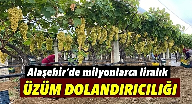 Alaşehir'de Milyonlarca Liralık Üzüm Dolandırıcılığı