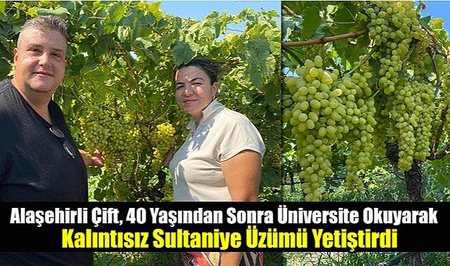 Alaşehirli Çift, 40 Yaşından Sonra Üniversite Okuyarak Kalıntısız Sultaniye Üzümü Yetiştirdi