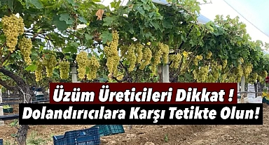 Üzüm Üreticileri Dikkat: Dolandırıcılara Karşı Tetikte Olun!