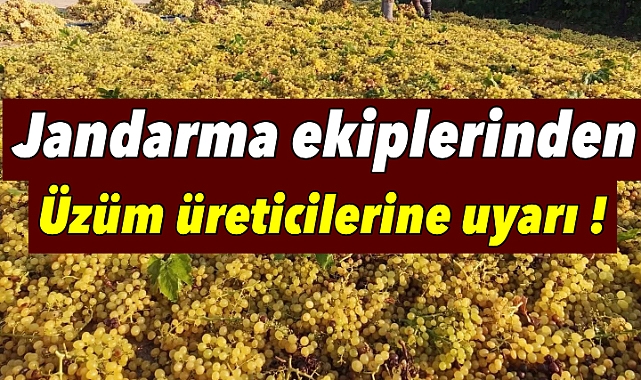 Jandarma Ekiplerinden Üzüm Üreticilerine Uyarı