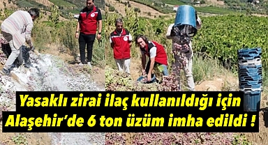 Alaşehir'de 6 Ton Üzüm Yasaklı İlaç Nedeniyle İmha Edildi