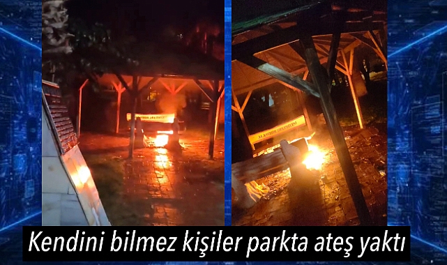 Alaşehir'de Alparslan Parkı'nda Yangın Çıktı, Mahalleli Tedirgin