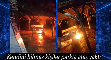 Alaşehir'de Alparslan Parkı'nda Yangın Çıktı, Mahalleli Tedirgin