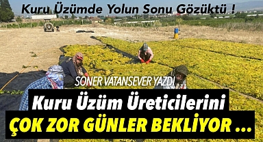 Kuru Üzüm Üreticilerini Çok Zor Günler Bekliyor