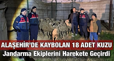 Alaşehir'de Kaybolan 18 Kurbanlık Kuzu Jandarma Ekiplerini Harekete Geçirdi 