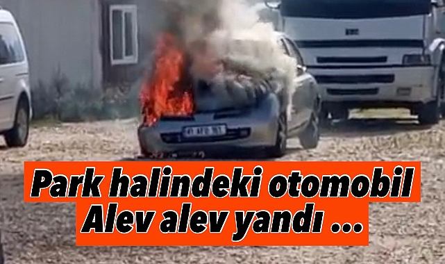 Park halindeki otomobil alev alev yandı!