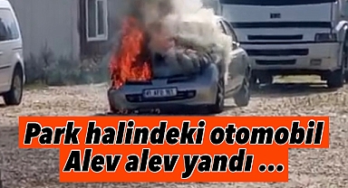 Park halindeki otomobil alev alev yandı!