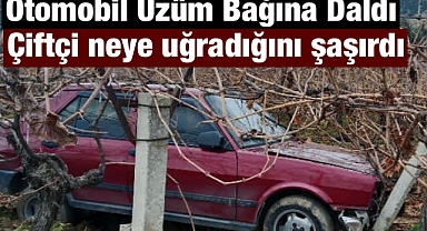 Alaşehir'de Otomobil Üzüm Bağına Savruldu: İşçiler Şaşkınlık Yaşadı