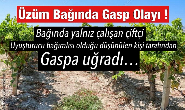Üzüm Bağında Gasp Olayı: Çiftçi Tehditle Soyuldu