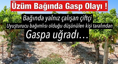 Üzüm Bağında Gasp Olayı: Çiftçi Tehditle Soyuldu