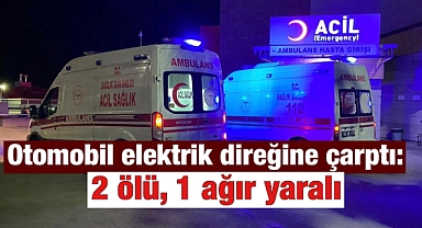 Otomobil elektrik direğine çarptı: 2 ölü, 1 ağır yaralı