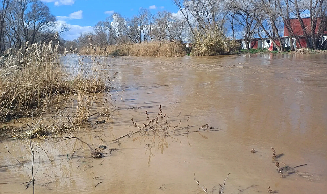 Alaşehir Çayı Taştı, Mahsur Kalan Köpekler 8 Saatlik Operasyonla Kurtarıldı