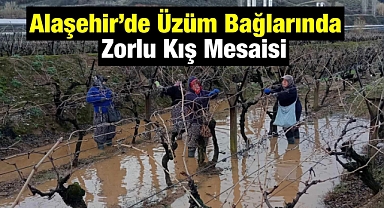 Alaşehir’de yeni sezon hazırlıkları 'Bağlama' ile devam ediyor