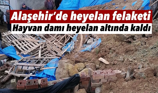 Alaşehir'de Heyelan Felaketi: Hayvan Damı Göçük Altında Kaldı