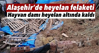 Alaşehir'de Heyelan Felaketi: Hayvan Damı Göçük Altında Kaldı