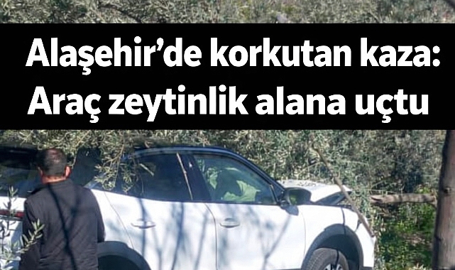 Alaşehir'de korkutan kaza: Araç zeytinlik alana uçtu