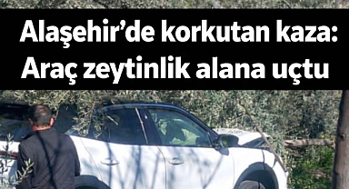 Alaşehir'de korkutan kaza: Araç zeytinlik alana uçtu