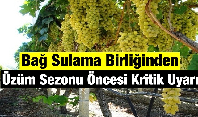 Üzüm Sezonu Öncesi Kritik Uyarı: Sulama Beyannamesi İçin Son Tarih 30 Mart