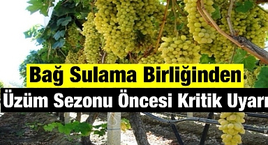 Üzüm Sezonu Öncesi Kritik Uyarı: Sulama Beyannamesi İçin Son Tarih 30 Mart