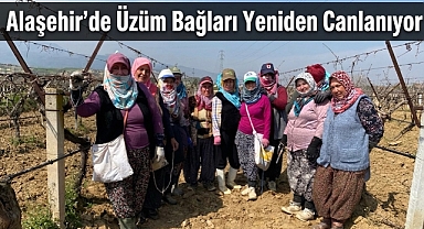 Yağışlı Kışın Ardından Bağlarda Yoğun Mesai Başladı 