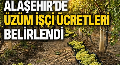 Alaşehir'de 2026 Yılı Üzüm İşçi Ücretleri Belli Oldu