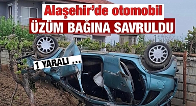 Alaşehir'de korkutan kaza: araç üzüm bağına savruldu