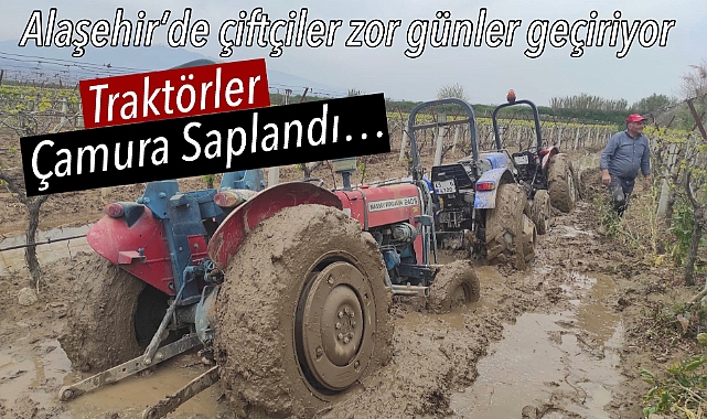 Alaşehir'de Üzüm Üreticileri Zor Durumda