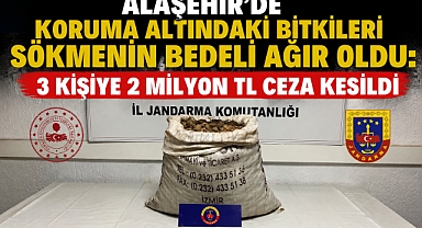 Alaşehir'de Koruma Altındaki Bitkileri Topladılar, Cezadan Kaçamadılar: 3 Kişiye 2 Milyon TL Ceza Kesildi 