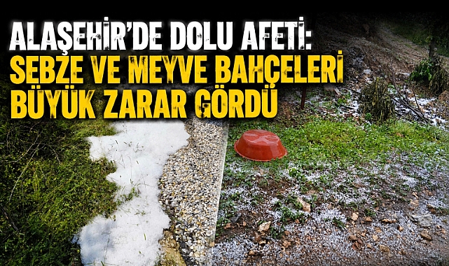 Alaşehir'de Dolu Felaketi: Tarım Alanlarında Büyük Zarar Oluştu