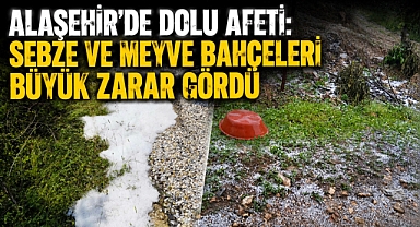 Alaşehir'de Dolu Felaketi: Tarım Alanlarında Büyük Zarar Oluştu