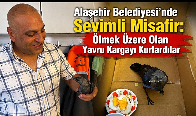 Alaşehir'de Örnek Davranış: Ölmek Üzere Bulunan Yavru Kargaya Belediye Personellerinden Şefkat Eli