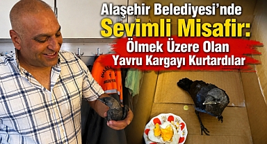 Alaşehir'de Örnek Davranış: Ölmek Üzere Bulunan Yavru Kargaya Belediye Personellerinden Şefkat Eli
