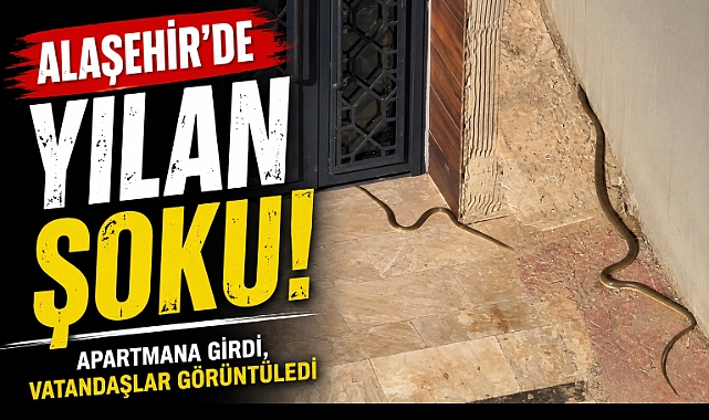 Alaşehir'de Şaşkına Çeviren Olay: 2 Metrelik Yılan Apartmana Girdi