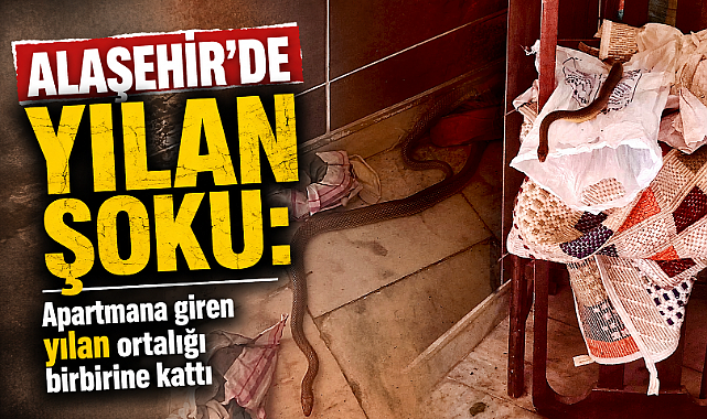 Alaşehir'de Yılan Paniği: Apartman Sakinleri Kapıları Kapalı Tutma Çağrısı Yaptı