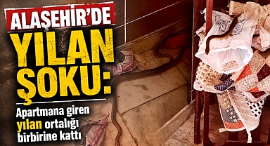 Alaşehir'de Yılan Paniği: Apartman Sakinleri Kapıları Kapalı Tutma Çağrısı Yaptı
